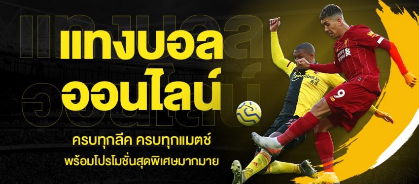เว็บ แทงบอลได้เงินจริง